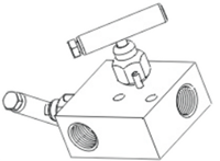 Two Valve Block & Bleed Manifold